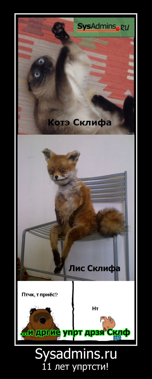 sklifi.jpg