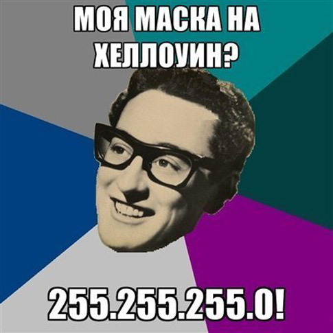 skoqq1.jpg