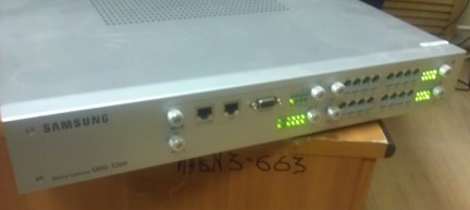 sng.jpg