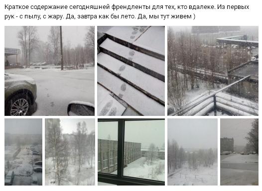 spring0.JPG