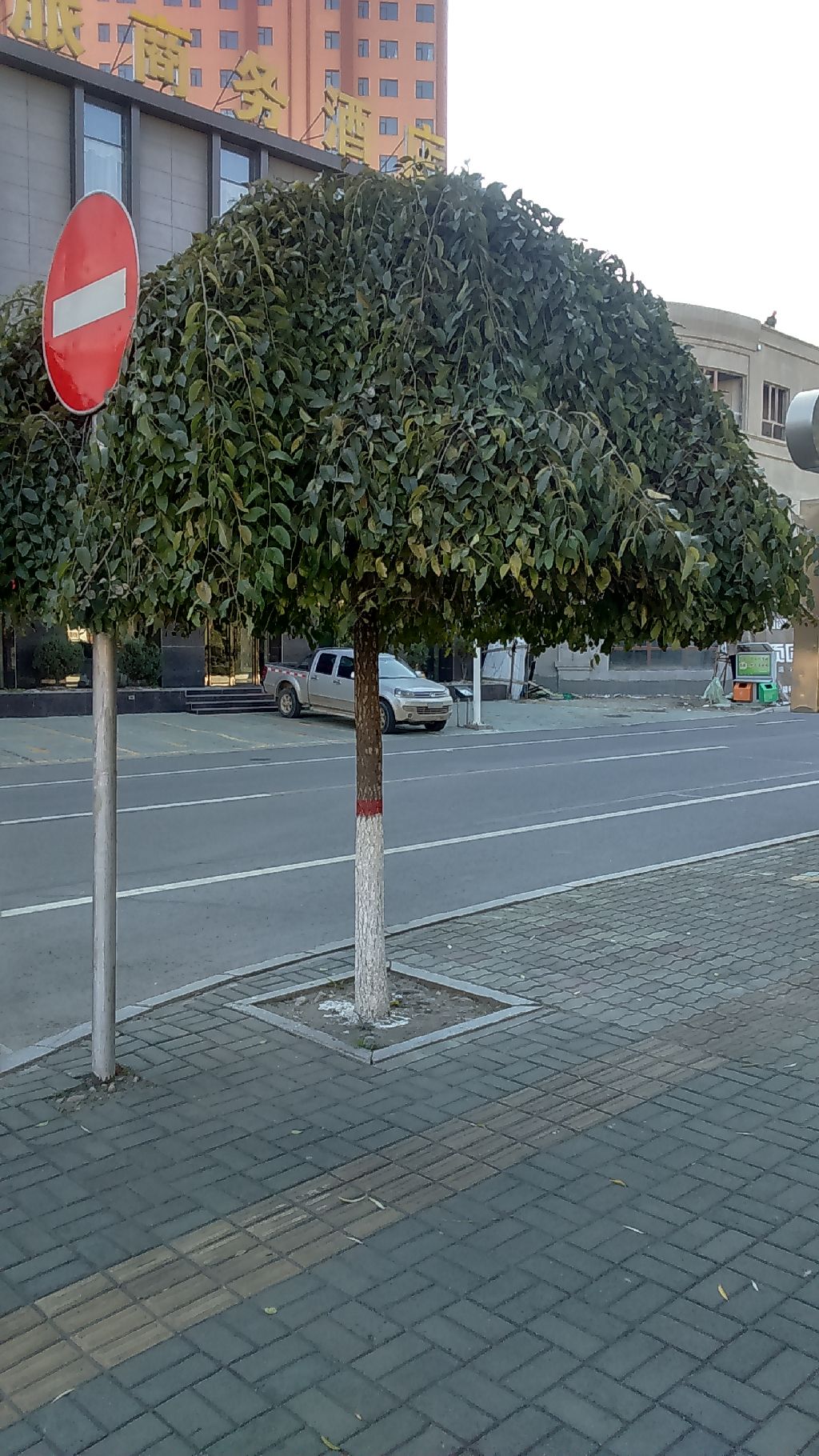 sq8_1.JPG