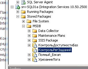 SSIS.JPG