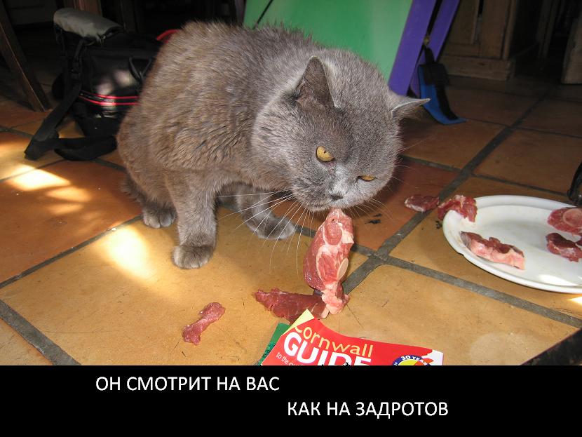 t.jpg