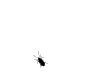 tarakan.gif