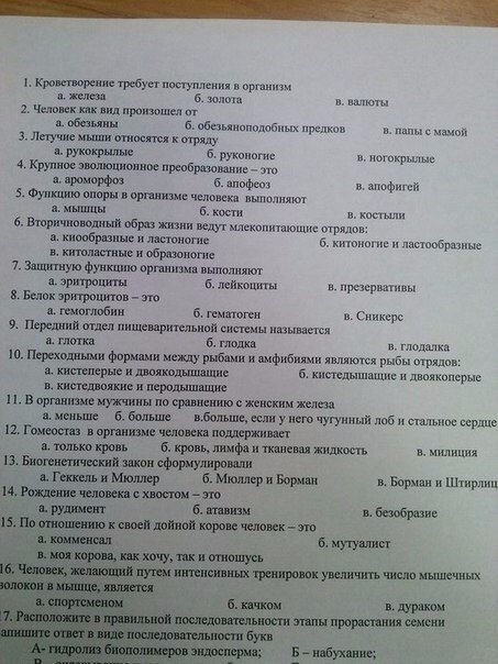 Test.jpg