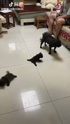 1536520067189885792.gif