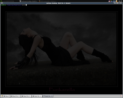 2008-12-15-162534_1280x1024_scrot.png