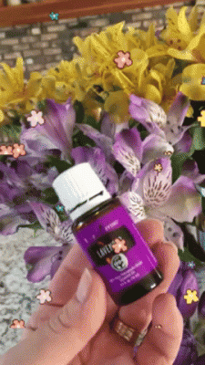 giphy (49).gif