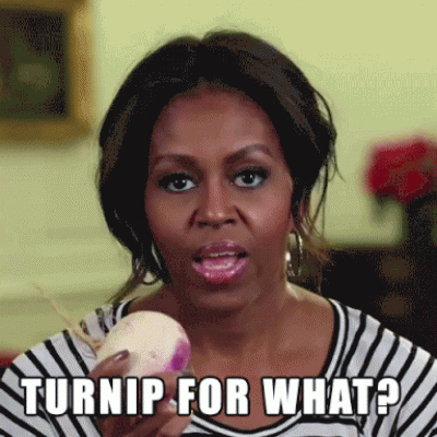 giphy (4).gif