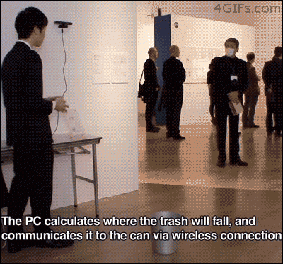 giphy.gif