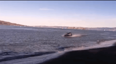 giphy.gif