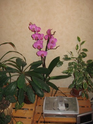 IMG_0358.JPG