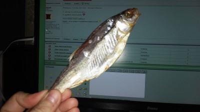 IMG_20180531_183133.jpg
