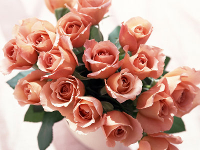 img-761c7.jpg