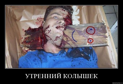 me9zsc0g43eb.jpg