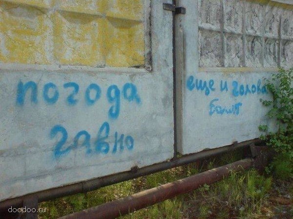 tlen.jpg