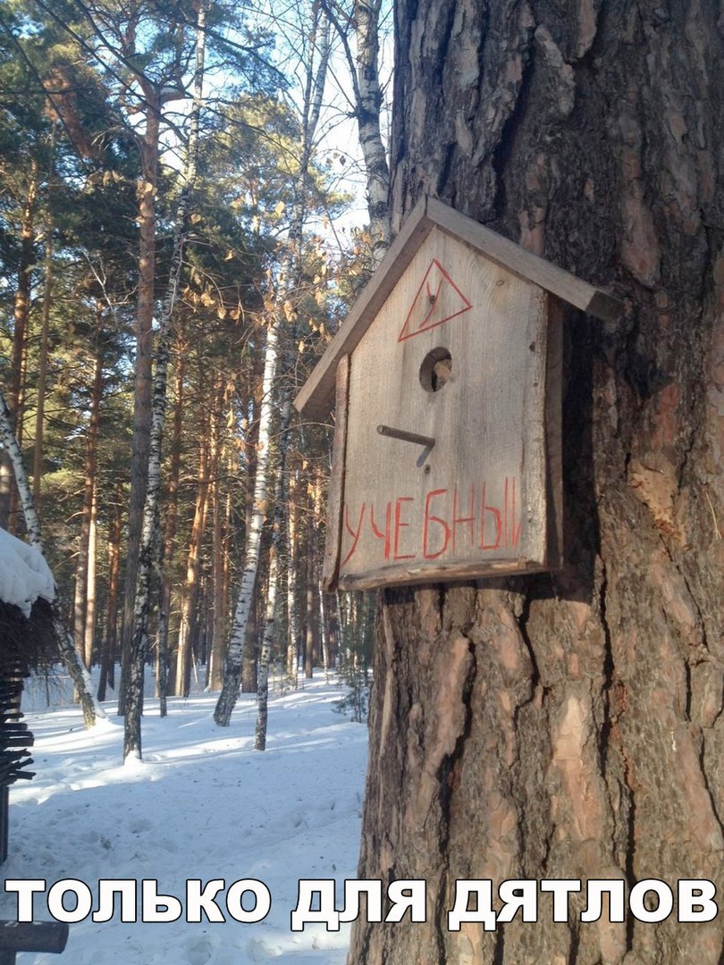 Uchebniy.jpg