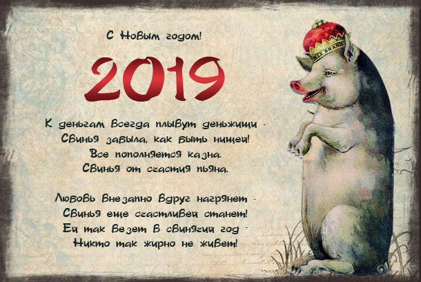  2019.jpg