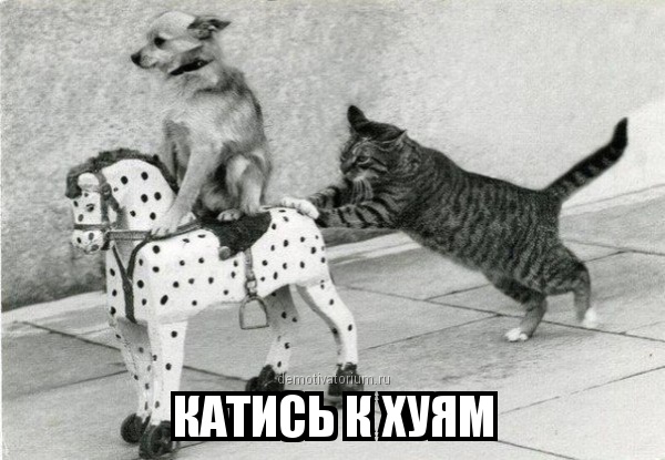 .jpg
