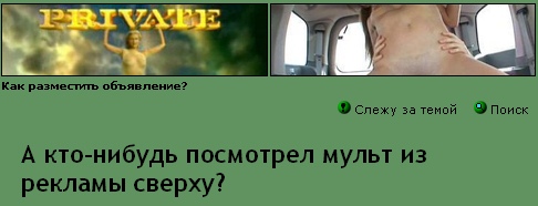 .jpg
