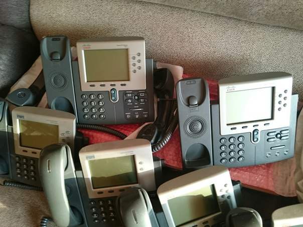 VaibDh3W310.jpg