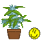 virastil_470.gif