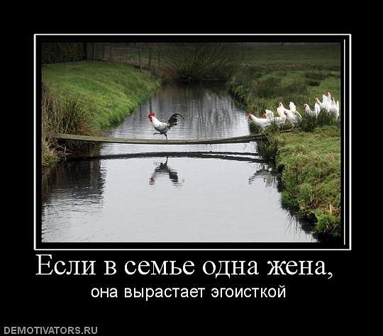 w_dc97f5a6.jpg