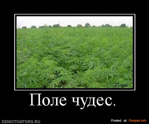 watermark.php.jpg
