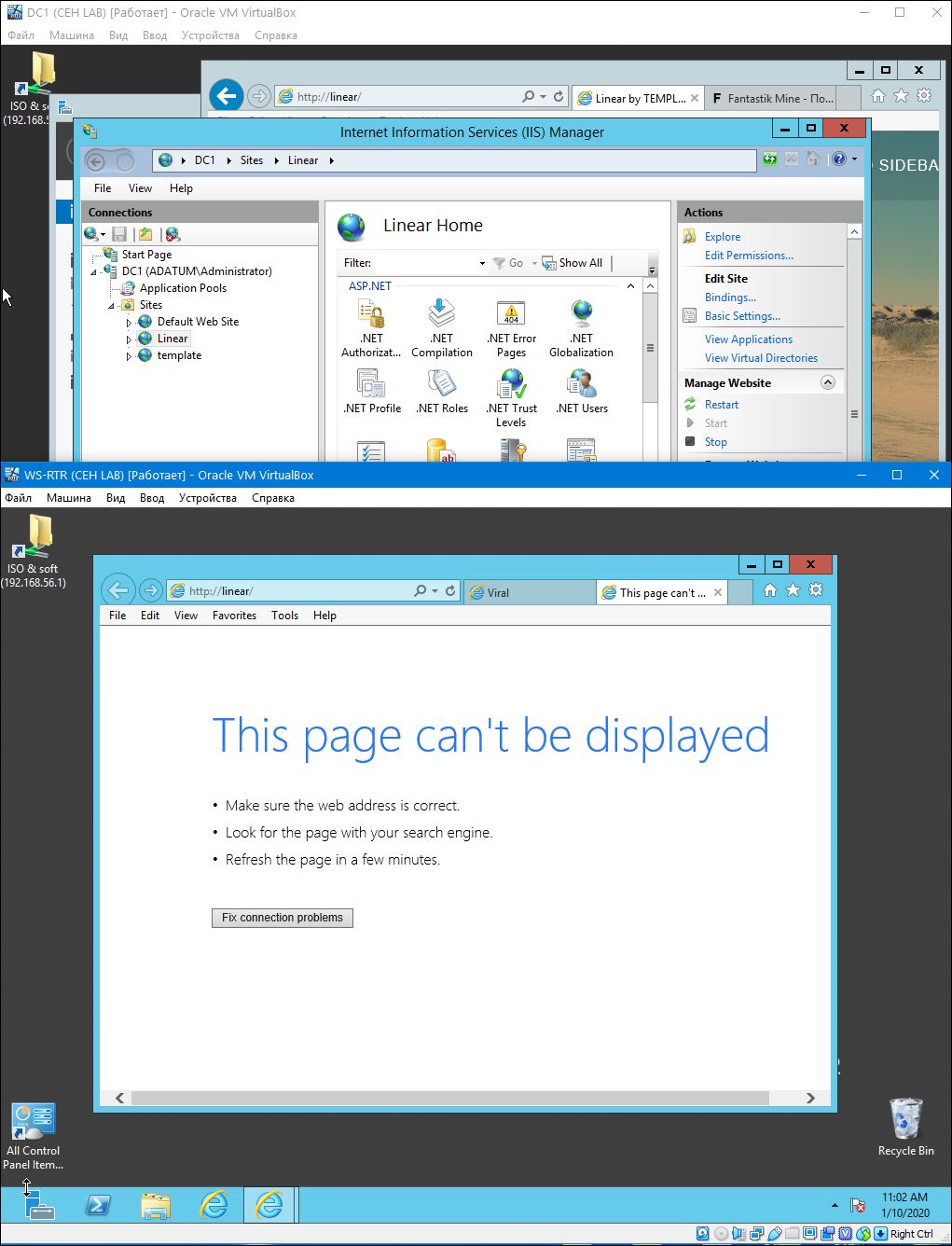 web 1.JPG