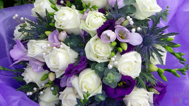 white-and-purple-flower.jpg