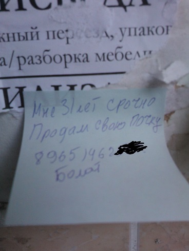 WP_000453.jpg