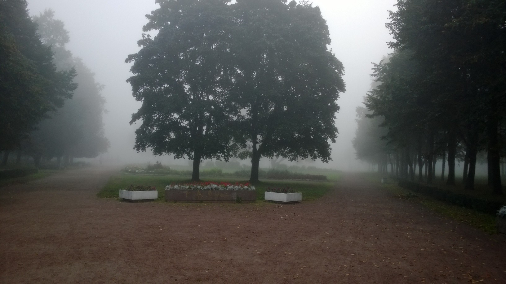 WP_20130917_08_14_11_Pro.jpg