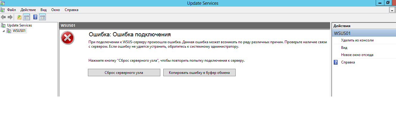 wsus_error.png