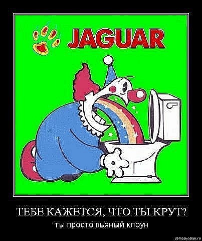 x_43cdc9e5.jpg