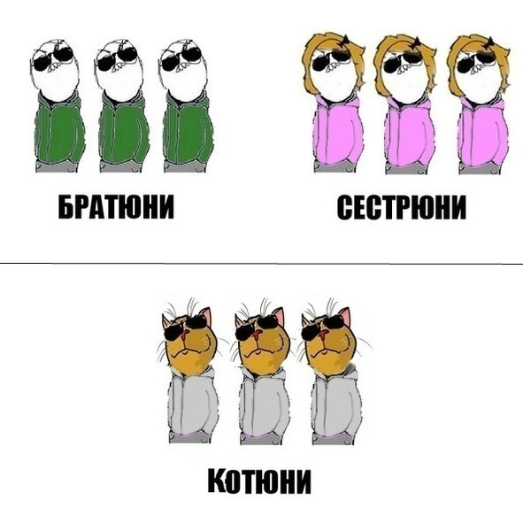x_87660de6.jpg