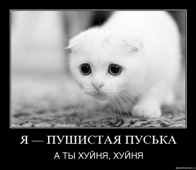 x_d8bb48a2.jpg