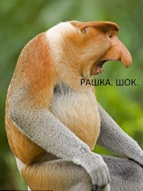 xuekluv.jpg