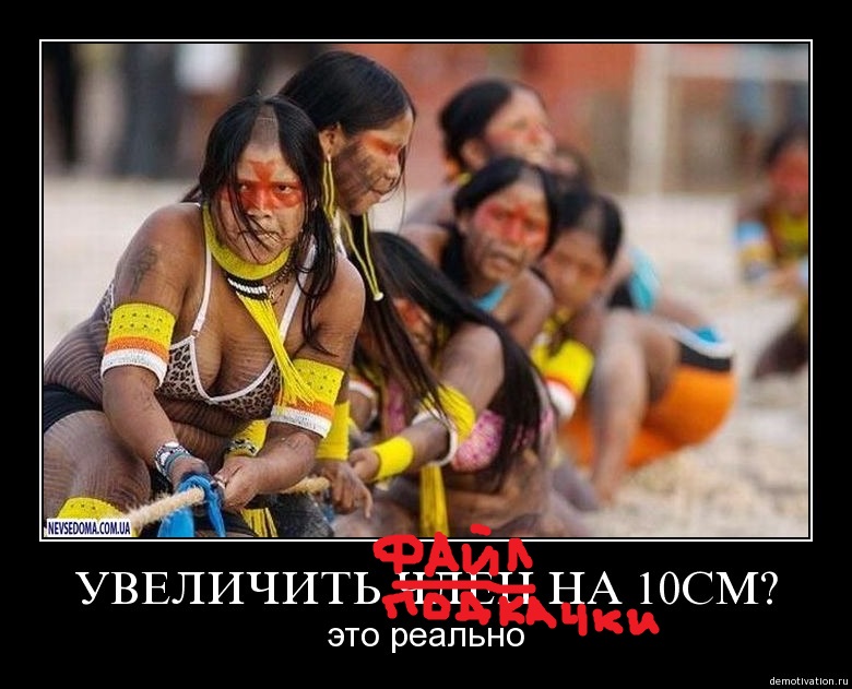 yt1vfspkpsu6.jpg