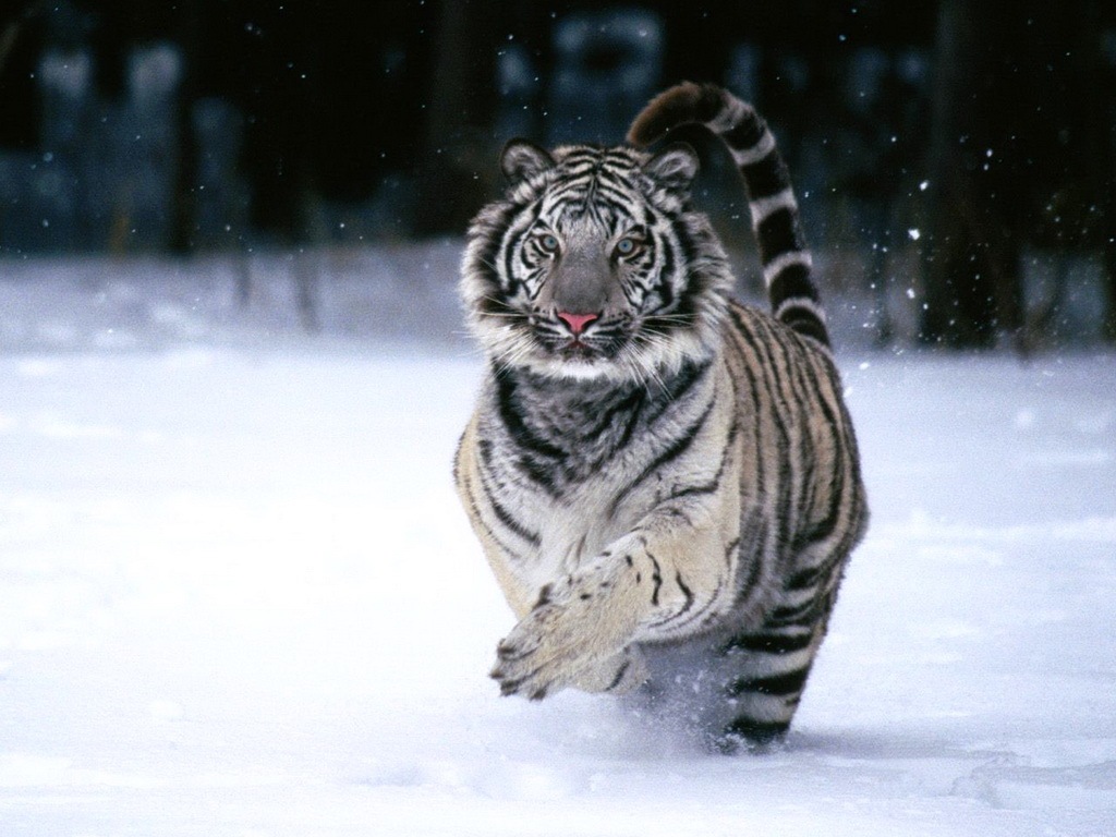 z_48785a36.jpg