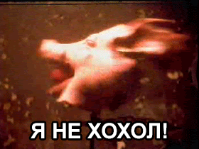zciOJOwE.gif