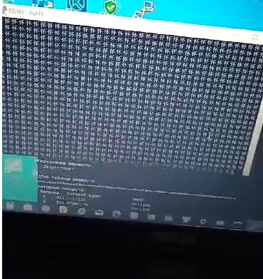 zte.jpg